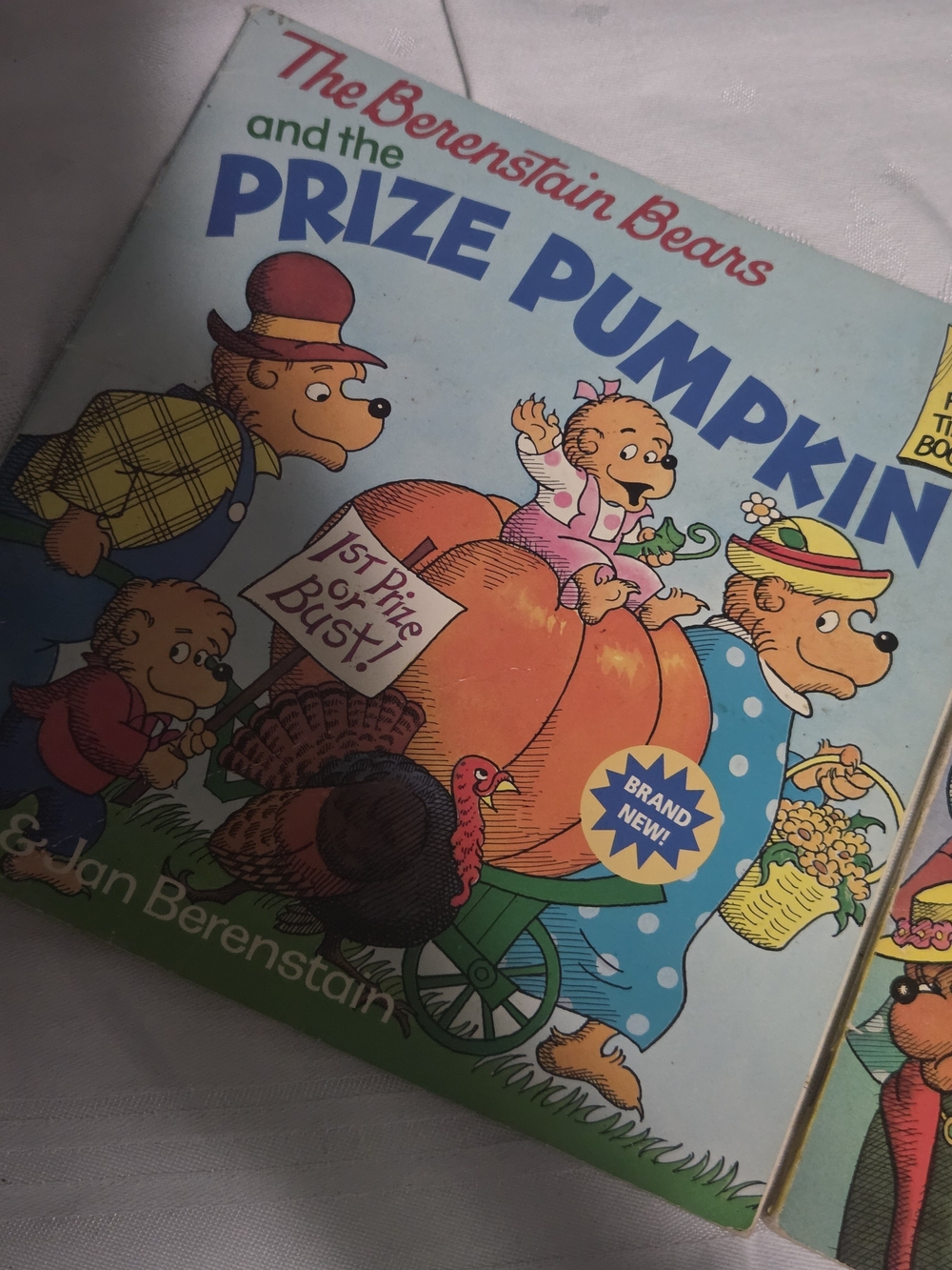 Lot Of 2 Vintage Berenstain Bears Books Pumpkin And The Gimmies